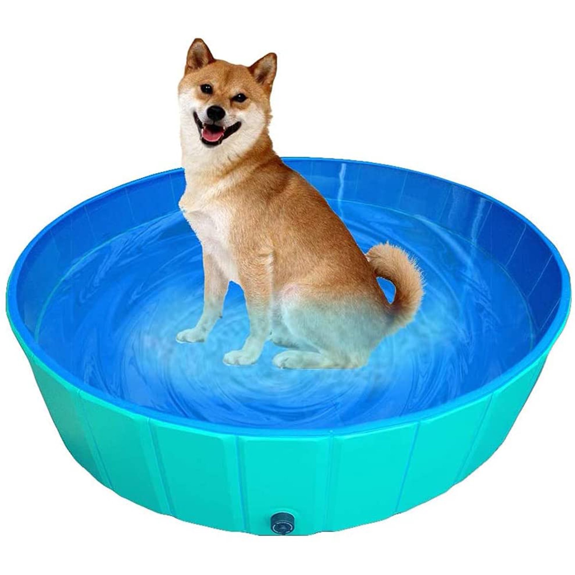 Do Dogs Like Bathing
