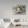 thumbnail image 3 of Trademark Fine Art 'Going My Way' Canvas Art by Sharon Forbes, 3 of 3
