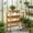Light Brown, variant on Barara King 30″x14.5″x35.5″ Outdoor Potting Table with Metal Top, 3-Tier Garden Work Bench with Hanging Hooks, Solid Wood Workstation for Garage Patio Yard, Light Brown