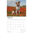 thumbnail image 3 of American Pit Bull Terriers | 2026 14x24" (Hanging) Wall Calendar | Plastic-Free, 3 of 9