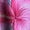 Pink, variant on Women Plus Size Tummy Control Tank Top with Boyshorts Two Piece Tankini Swimsuit Floral Print Bathing Suits
