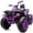 Purple, variant on Hikiddo Kids ATV 4-Wheeler, 24 Volt 4WD Ride On Toys for Big Kids w/ 2 Seater, 4x200W Motor, 5.6Mph Max Speed -Black