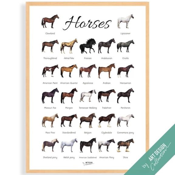 HORSES POSTER ¢ Montessori Poster ¢ Montessori Educational Homeschooling Learning Poster Nursery Room preschool Horse breeds, Unframed Paper Poster 8x10in