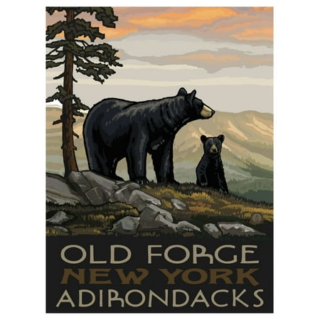 Old Forge NY Adir Travel Art Print Poster by Paul A. Lanquist (9