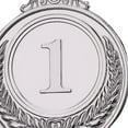 thumbnail image 6 of GARENDE Award Medal Trophy Medal Award Gift Zinc Alloy with Neck Ribbons Winner Medal,for Party Softball Events Baseball Kids Adults, 6 of 9