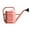 Brun, variante sur Hearth & Gear Arroseur pour Arroser les Fleurs Grande Capacité Jardinage Arrosage des Légumes Arrosoir à Long Bec Petit Arrosoir pour Racines Arrosoir en Métal