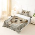 thumbnail image 5 of Homewish Cream Maltese Puppy Twin Sheets,Cartoon Pet Dog Bedding,White,3 Pieces,1 Fitted Sheet and 1 Pillowcase, 5 of 6