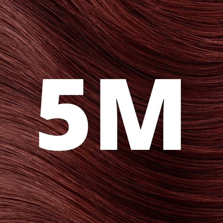 5M Light Mahogany Chestnut