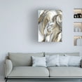 thumbnail image 2 of Trademark Fine Art Jennifer Paxton Parker Horse Abstraction I Canvas Wall Art - 35x47, 2 of 5