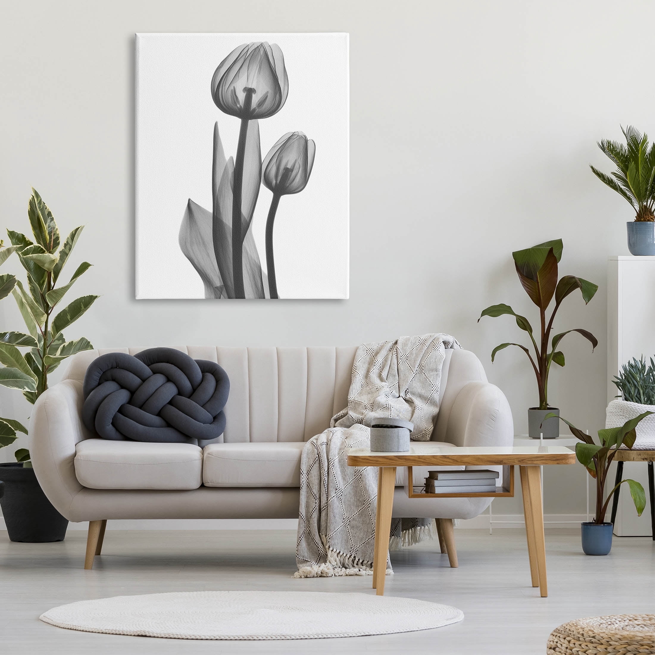 Stupell Industries Contemporary Transparent Tulip Graphic Art Gallery Wrapped Canvas Print Wall Art, Design by Albert Koetsier