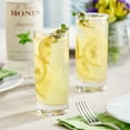 thumbnail image 2 of Monin 1 Liter Zero Calorie Natural Sweetener Flavoring Syrup, 2 of 2