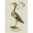 thumbnail image 1 of Buy Enlarge 0-587-13540-9P20x30 Curmoor or Florican- Paper Size P20x30, 1 of 1
