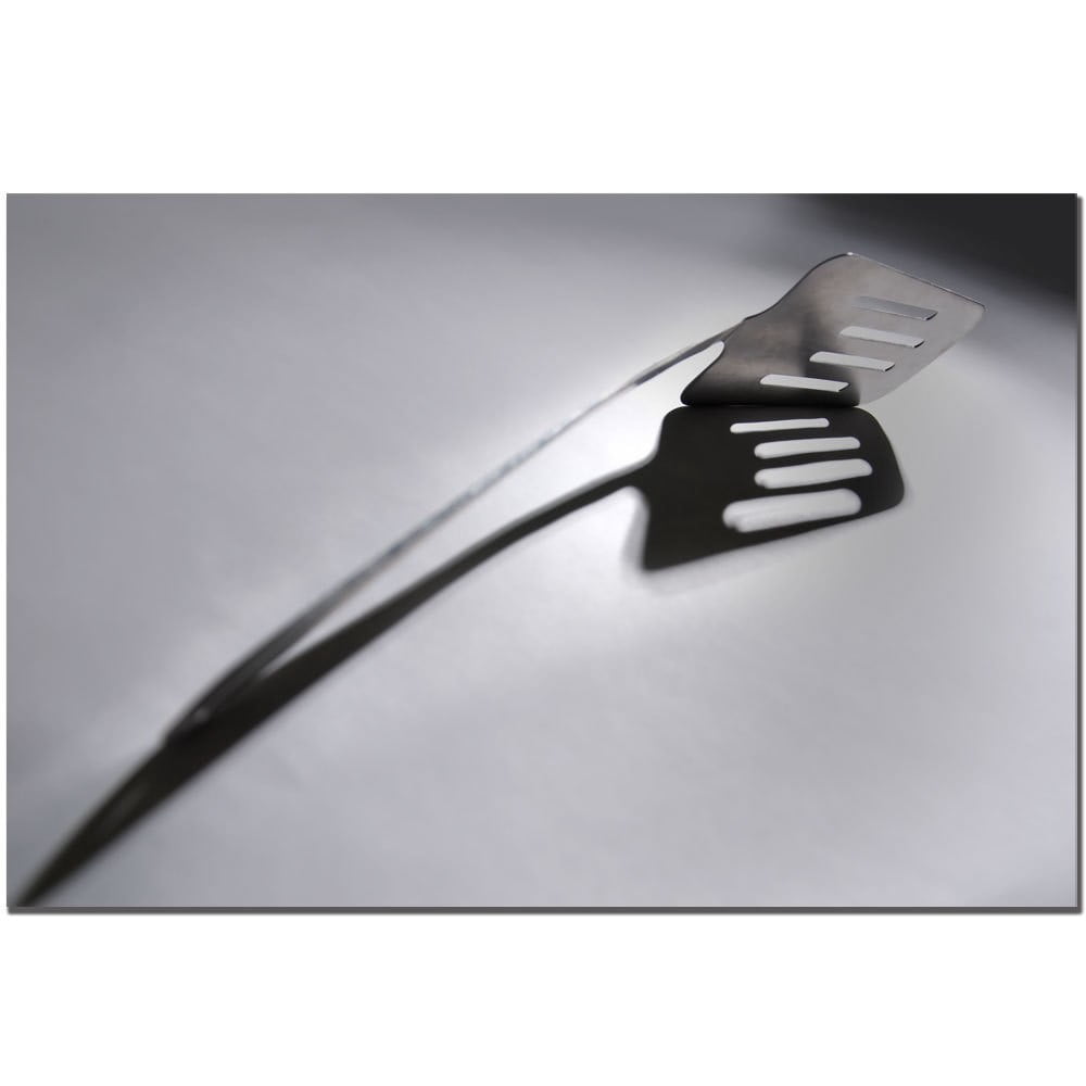 Trademark Fine Art "Spatula I" Canvas Art by Tammy Davison