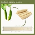 thumbnail image 5 of Natural Loofah Back Scrubber for Women(2Pack),Exfoliating Bath Luffa Sponge Made from Organic Loofa for Daily Shower, 5 of 7