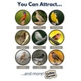 thumbnail image 4 of Valley Farms White Millet Wild Bird Food, 4 of 12