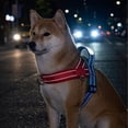 thumbnail image 6 of AuroraX Breathable No Pull Dog Harness Outdoor Dog Harness Chest Strap Reflective Adjustable Comfortable Easy On Dog Harness for Walking Training Red, 6 of 6
