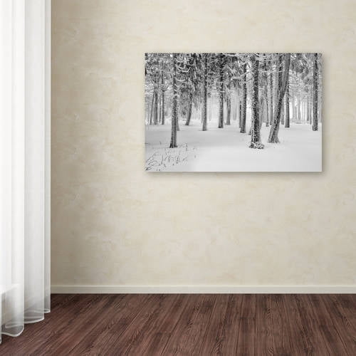 Trademark Fine Art "Frozen World" Canvas Art by Philippe Sainte-Laudy