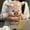 Highland Cow Pink, variant on Running Plushies for Kids Adults, 18" Running Animals Panda with Interactive Moving Legs for Stress Relief, Soft Stuffed Toy for Christmas Birthday Gifts