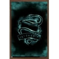 thumbnail image 1 of Harry Potter - Slytherin Crest Magic Wall Poster, 22.375" x 34", 1 of 4