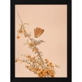 thumbnail image 2 of Shlomo Waldmann 14x18 Black Modern Wood Framed Wall Art Titled - Scrub Warbler, 2 of 6