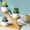 A4126 Vacemry under $5, variant on Vacemry Under $5 Succulents Plant Stand, Multi-Tier Wooden Display Rack, Indoor Tabletop Flower Pot Holder, Mini Shelf for Small Plants, Home Office Decor Organization Solution