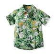 thumbnail image 2 of Fancifize Boys Casual Floral Hawaiian Shirt Short Sleeve Button Down Aloha Shirt Summer Beach Shirts Dad and Son Matching Shirts, 2 of 9
