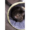 thumbnail image 4 of Petlinks Twinkle Chute Tunnel Cat Toy With Lights-, 4 of 9