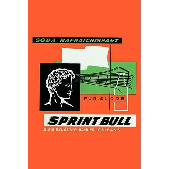 Sprint Bull-Fine Art Canvas Print (20" x 30")