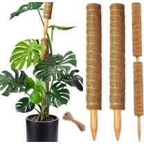 Debonair Moss Pole for Plants - 15 Inches (2 Pack) | Monstera Houseplant Stakes, Moss Poles for Garden, Coir Totem Sticks