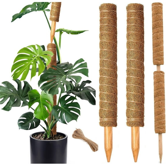Debonair Moss Pole for Plants - 17 Inches (2 Pack) | Monstera Houseplant Stakes, Moss Poles for Garden, Coir Totem Sticks