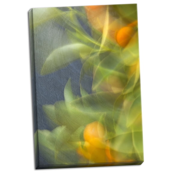 Gango Home Decor Abstract Vision I by Karyn Millet (Ready to Hang); One 24x36in Hand-Stretched Canvas