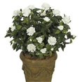 thumbnail image 1 of Autograph Foliages A-073W - 28 Inch Large Gardenia Bush - White, 1 of 1