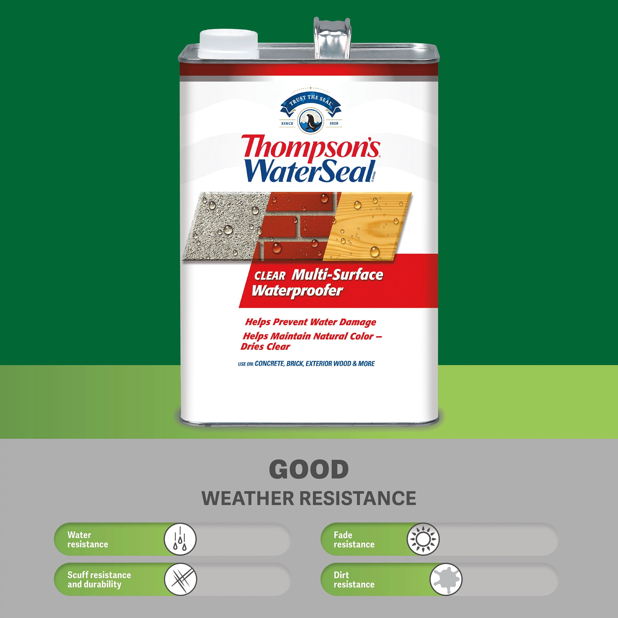 Thompson's WaterSeal Clear Multi-Surface Waterproofer, 5 Gallon