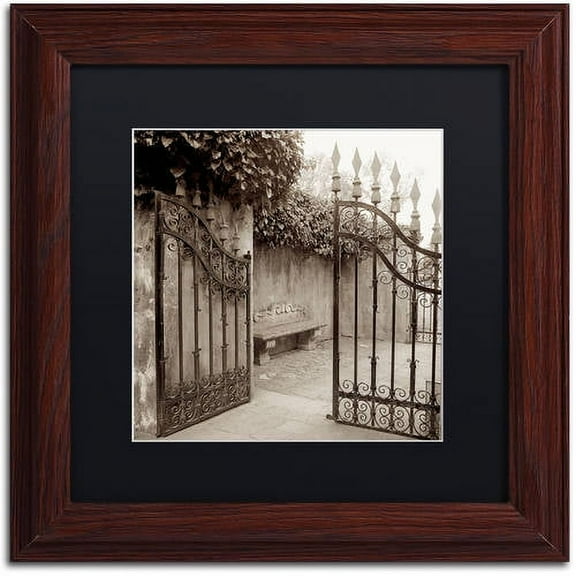 Trademark Fine Art "Avignon I" Canvas Art by Alan Blaustein, Black Matte, Wood Frame