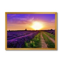 Designart 'Lavender Field At Sunrise II' Farmhouse Framed Art Print