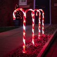 thumbnail image 5 of Lumières Festives - Lot de 4 - Éclairage de Décorations de Canne à Sucre - Électrique, 5 of 5