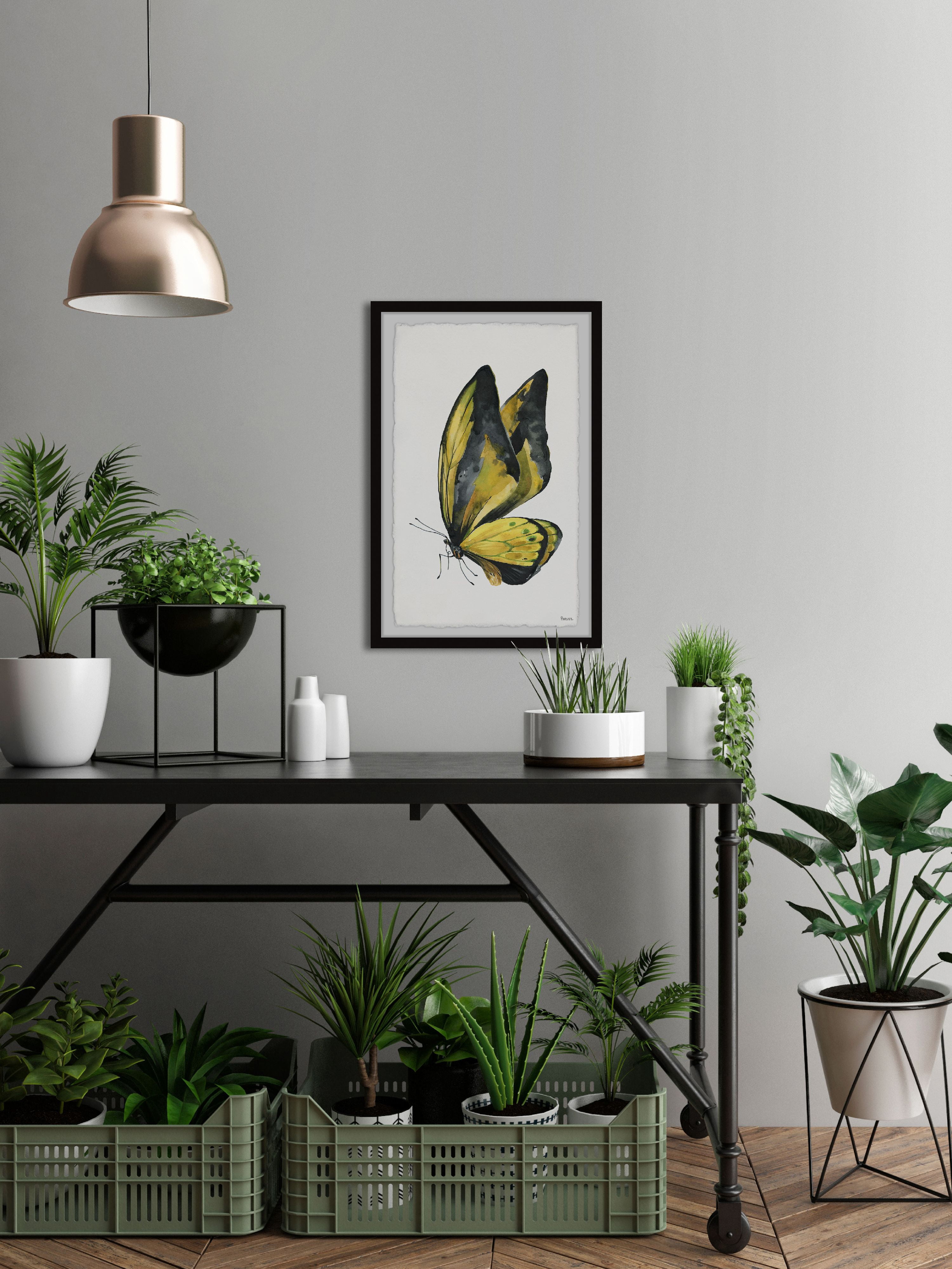 Parvez Taj "Black and Yellow Mariposa" Framed Painting Print