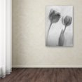 thumbnail image 4 of Trademark Fine Art "Flowers on Ice-1" Canvas Art by Moises Levy, 4 of 4