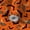 Color 1, variant on Peel and Stick Wallpaper Autumn Pumpkin Sunflower Maple Leaf Orange Removable Wall Mural for Bedroom Self Adhesive Wall Decor for Living Room 24x118in