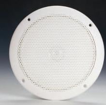 6 ohm 30 watt speaker