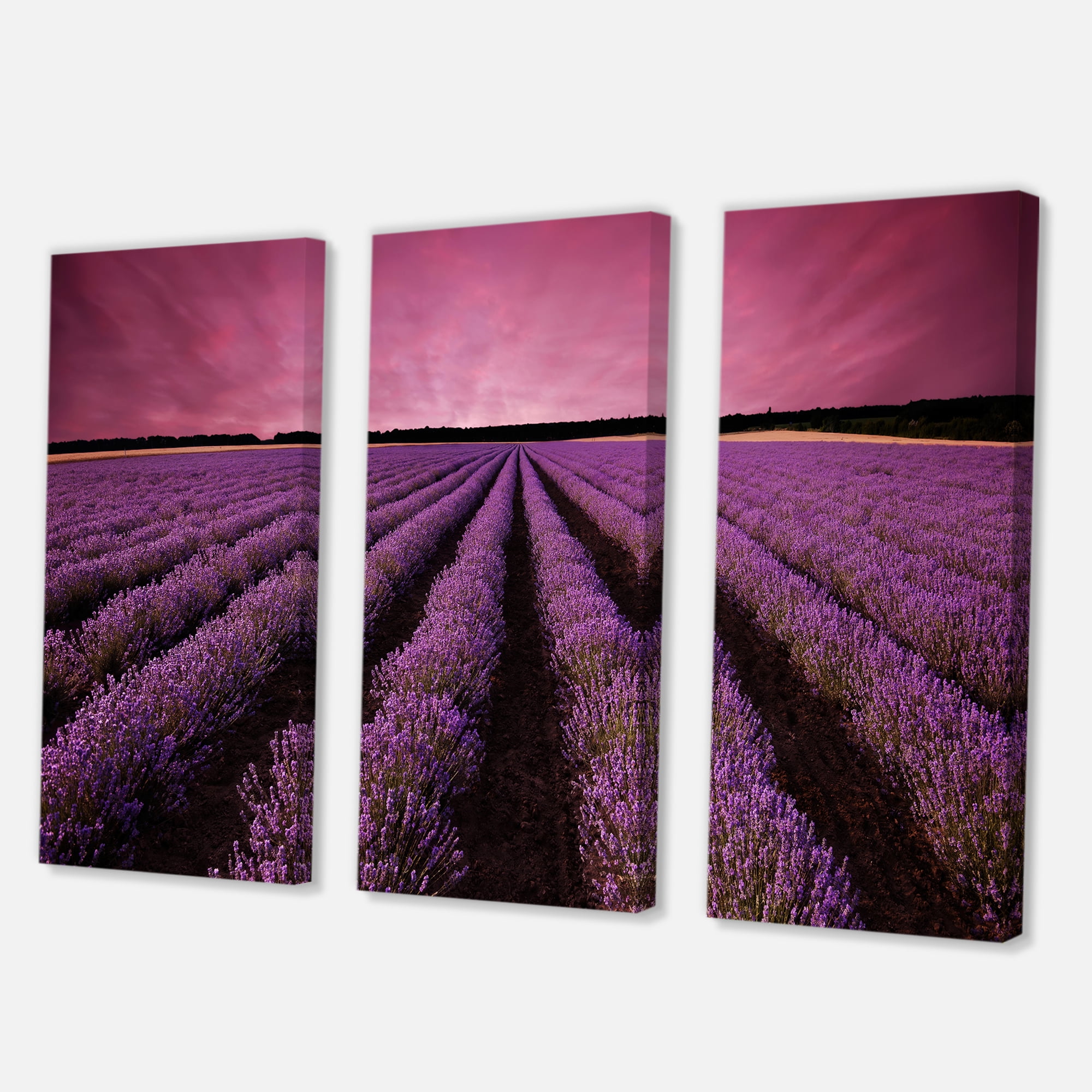 Designart ' Dramatic Clouds and Sunrise Over Lavender Field XI ' Farmhouse Canvas Wall Art Print