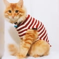 thumbnail image 4 of Jersey con forma de gato BOBIBI, prenda de punto cálida para Papá Noel, tamaño mediano, para Navidad, 4 of 5
