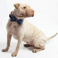 thumbnail image 4 of 1 juego de collares y correas para perros y gatos a cuadros azules con lazos. Collares ajustables para perros. Ideales para fiestas y bodas. Talla XL., 4 of 5