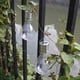 thumbnail image 5 of Bombilla de Lámpara de Luz Led Colgante Xihbxyly para Acampar y Jardín Al Aire Libre Giratoria, 5 of 7