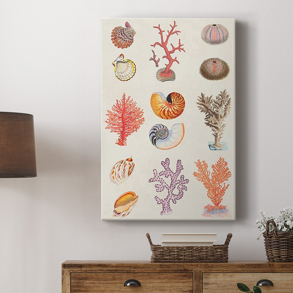 Coral & Shell Collage I Premium Gallery Wrapped Canvas - Ready to Hang