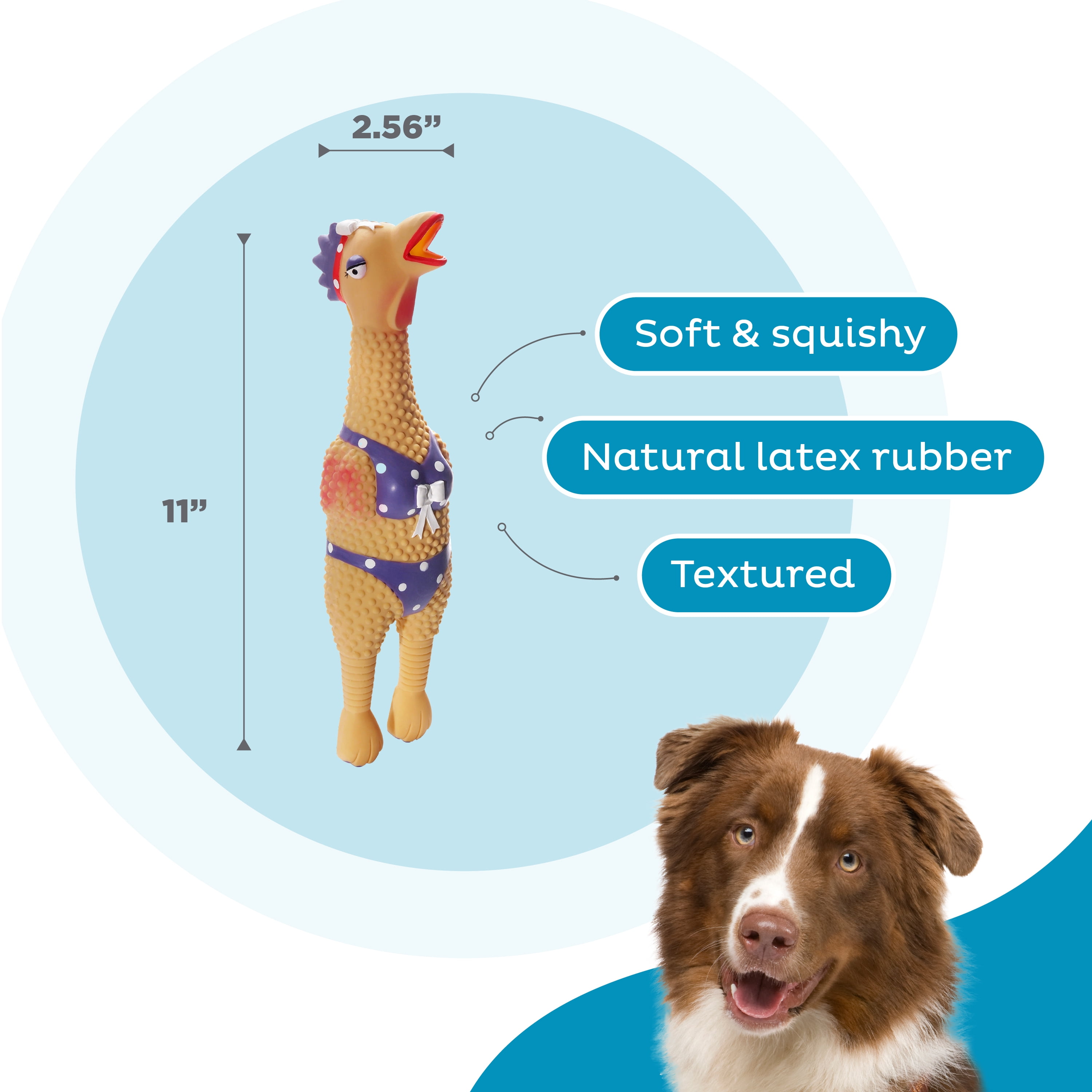 Outward Hound Dog Toy Large Squawkers Henrietta Latex Squeaky