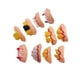thumbnail image 4 of Toystoory 10 Uds. De feos de Halloween, fiesta divertida, postizos podridos, modelo de dentadura, broma, trucos divertidos, broma Type2 NO2, 4 of 6