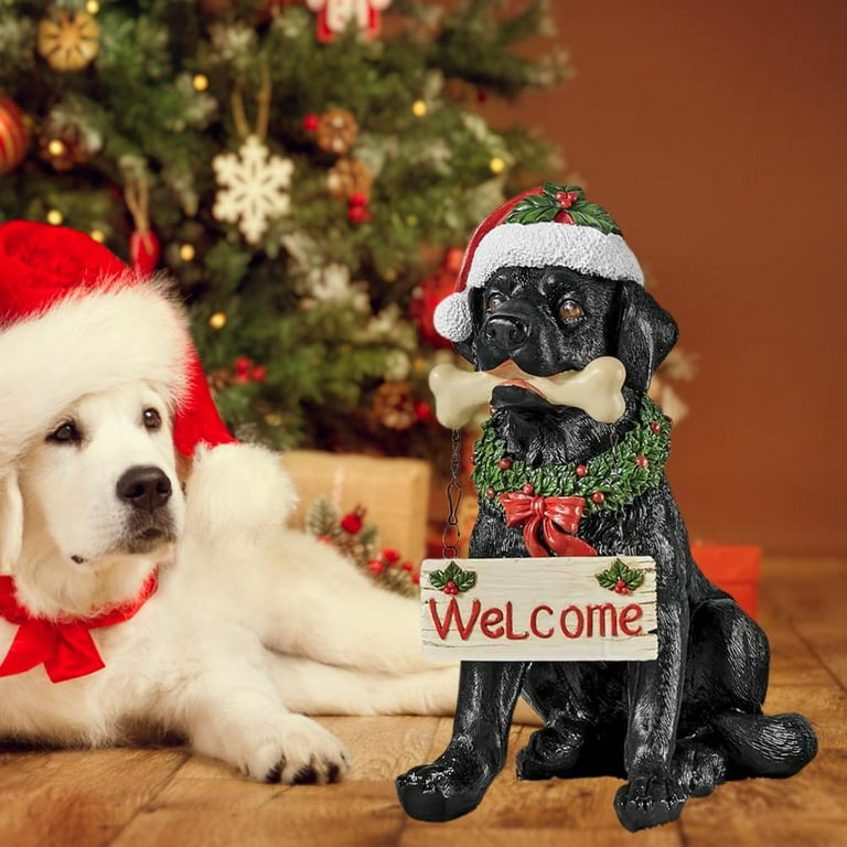 sachin and babi light blue dress Christmas Costumes Ideas
