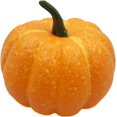 thumbnail image 3 of Set of 10 Pumpkins & Gourds Harvest Decorations - Great for Table Decor and Festive Baskets!, 3 of 6