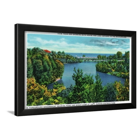Windsor Gardens Rochester Ny Rochester, NY - Rochester Zoo View of Lake Ontario and Durand Eastman Park Framed Print Wall Art By Lantern Press ()